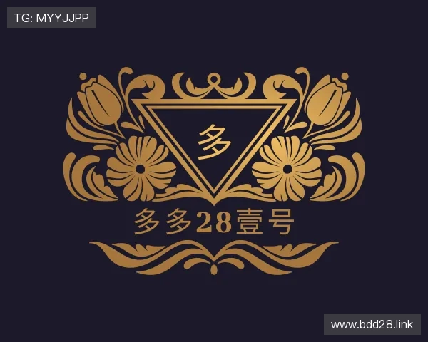 概述多多28壹号